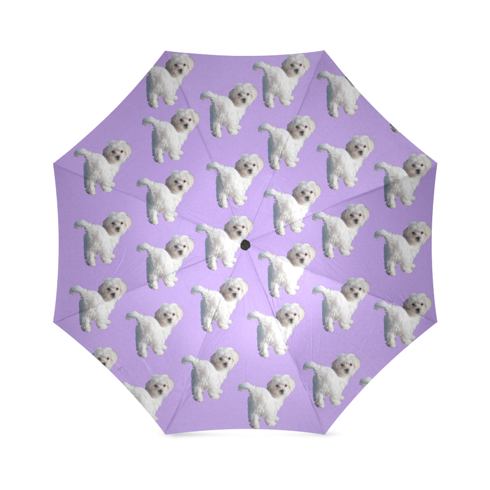 Maltese Umbrella