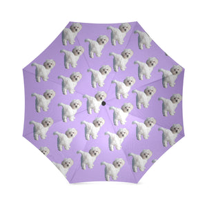 Maltese Umbrella
