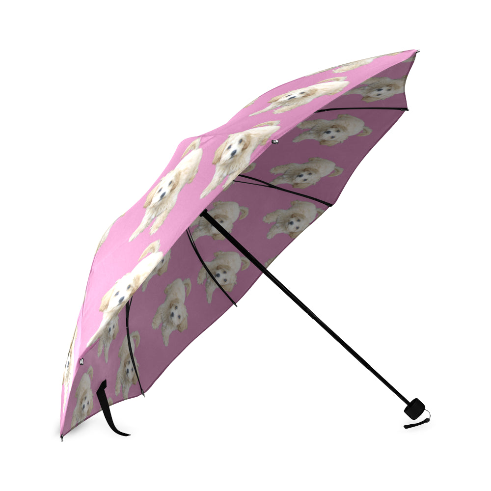 Maltipoo Umbrella - Semi-Auto
