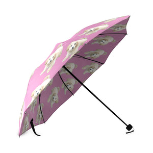 Maltipoo Umbrella - Semi-Auto