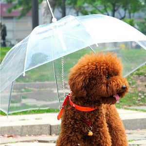 Pet Dog Umbrella