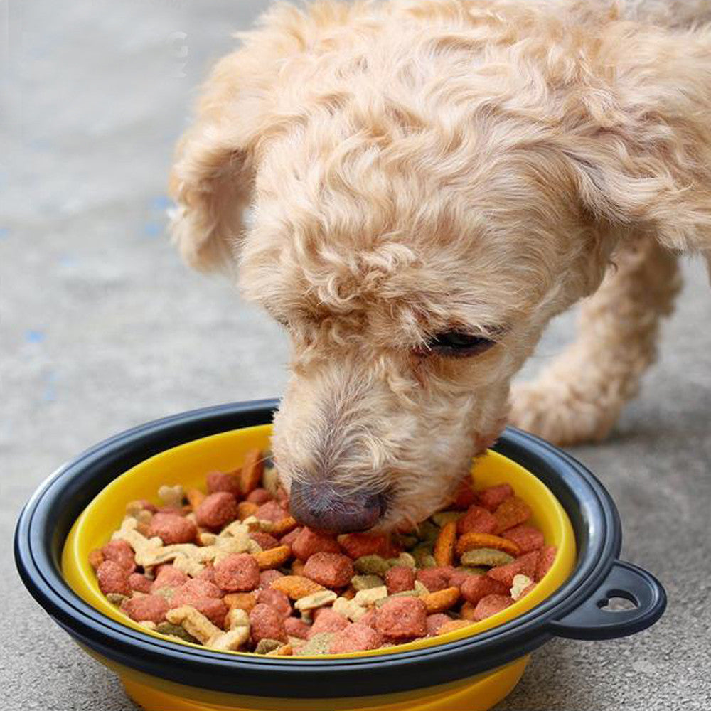 Collapsible Pet Water Travel Bowl