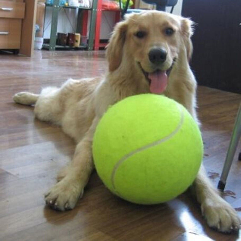 Giant Dog Ball