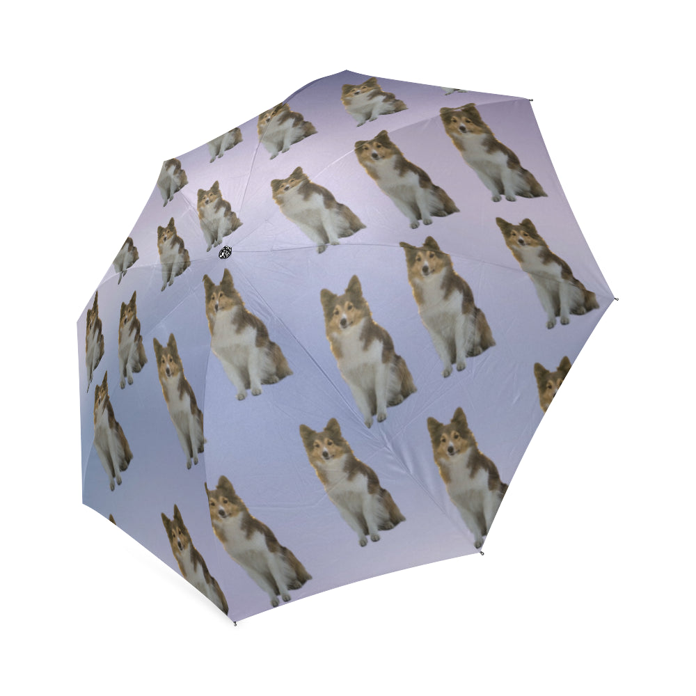 Purple Sheltie Umbrella