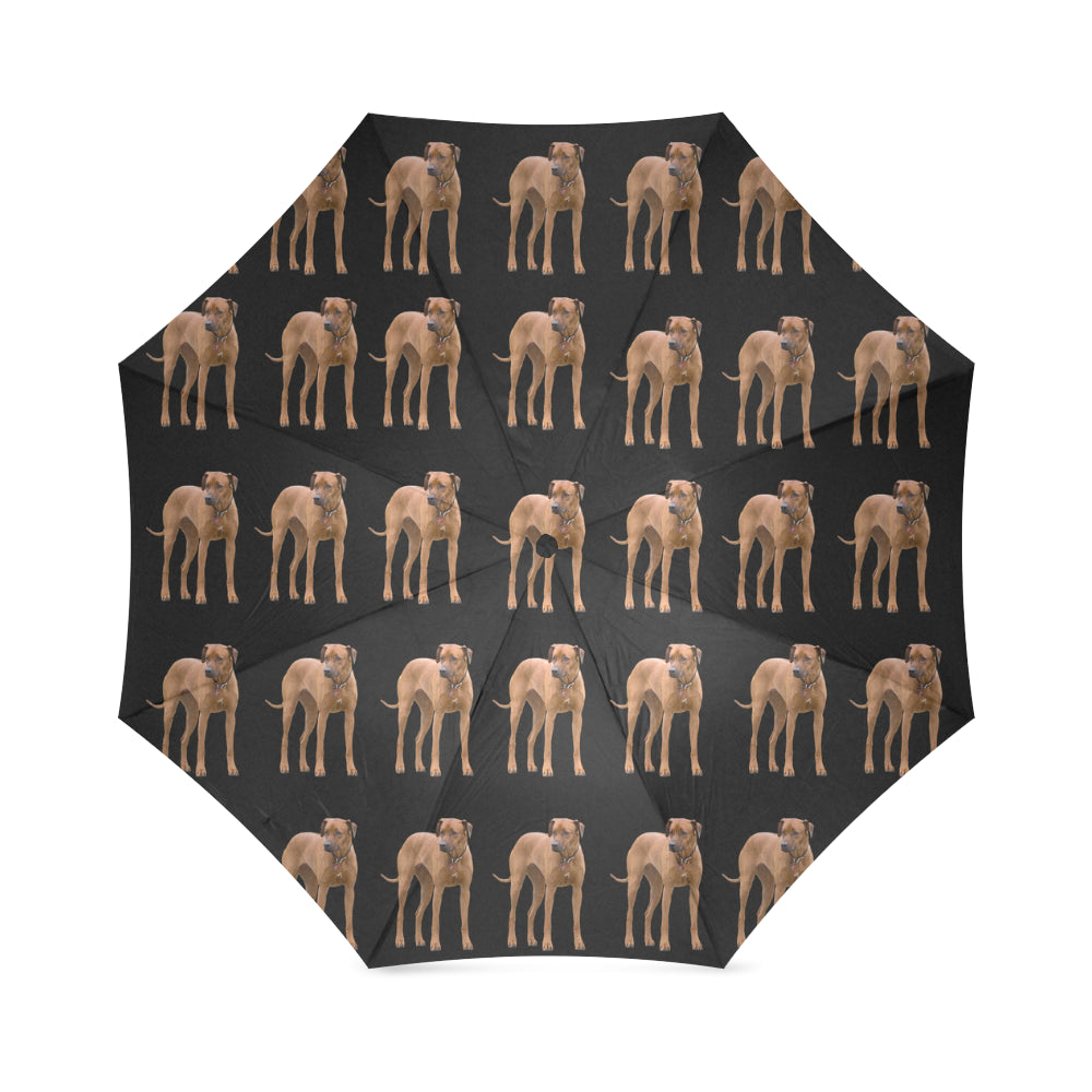 Rhodesian Ridgeback Umbrella