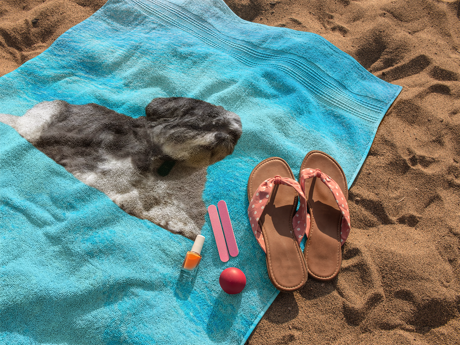 Shih Tzu Beach Towel - Blue